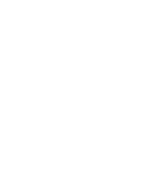 ARTICAL