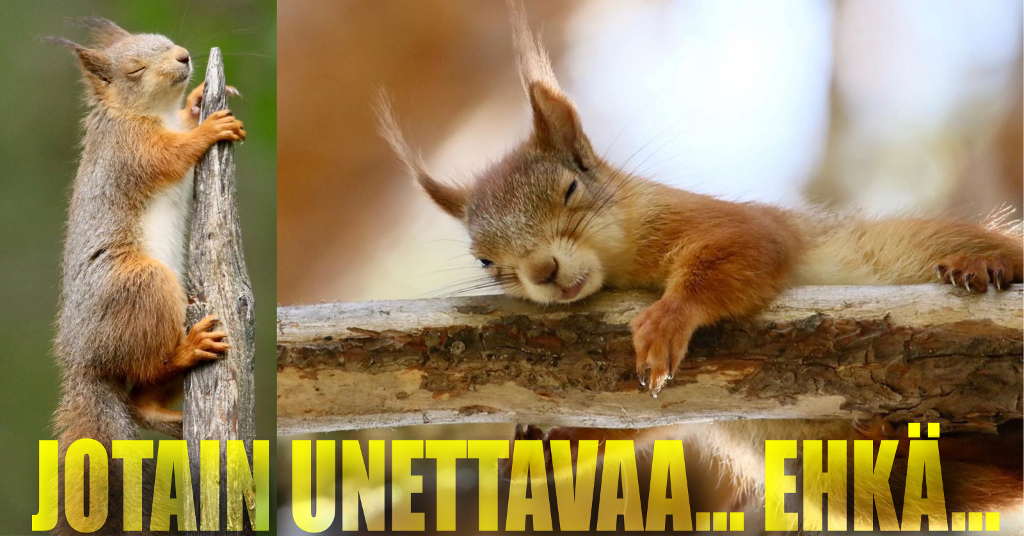 Unettavaa(ko)